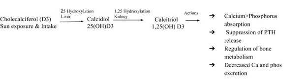 vitamin d deficiency rickets